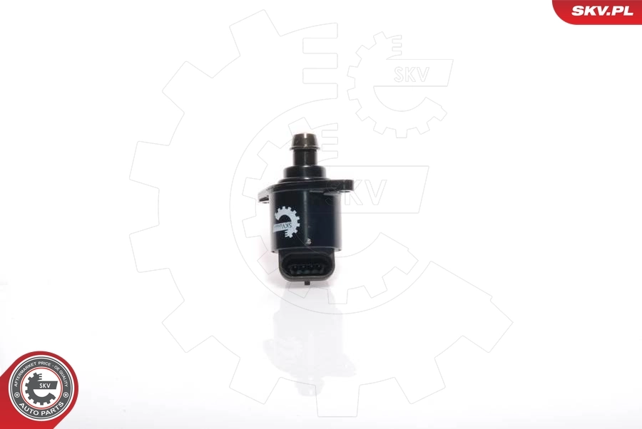 Idle Control Valve, air supply